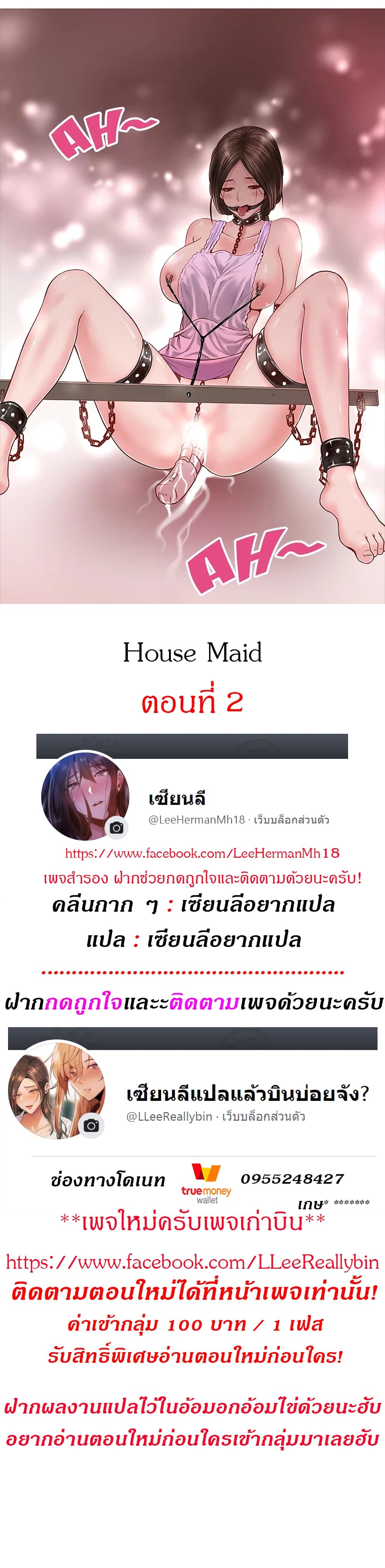 House Maid2 (2)